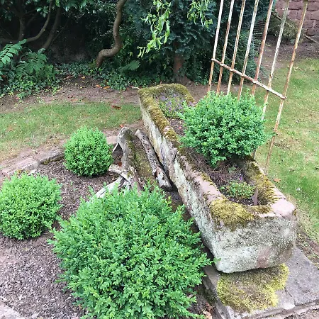 Tor Zum Pfaelzerwald * 皮尔马森斯