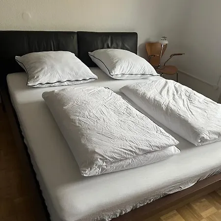 Tor Zum Pfaelzerwald 公寓 皮尔马森斯