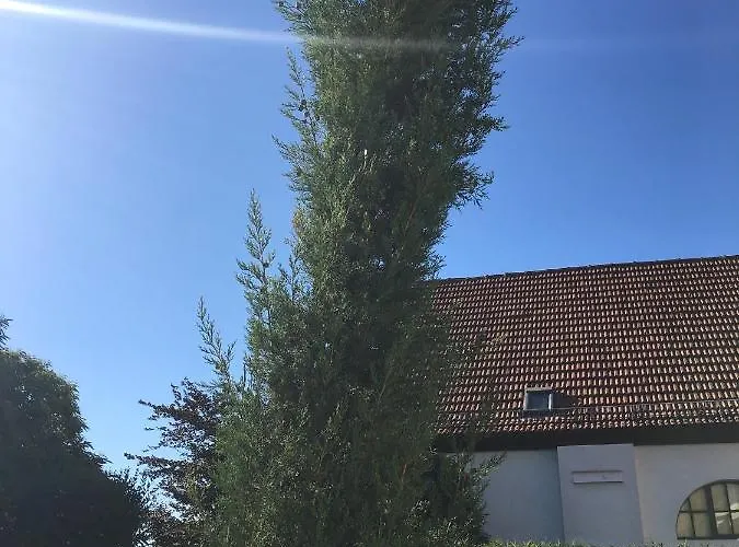 아파트 Tor Zum Pfaelzerwald